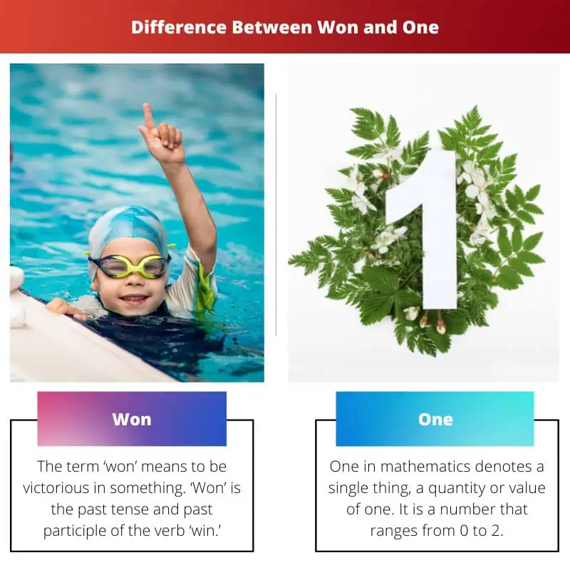 Won vs One – Difference Between Won and One