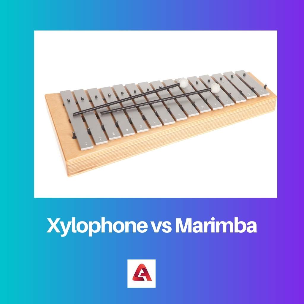Xylophone vs Marimba