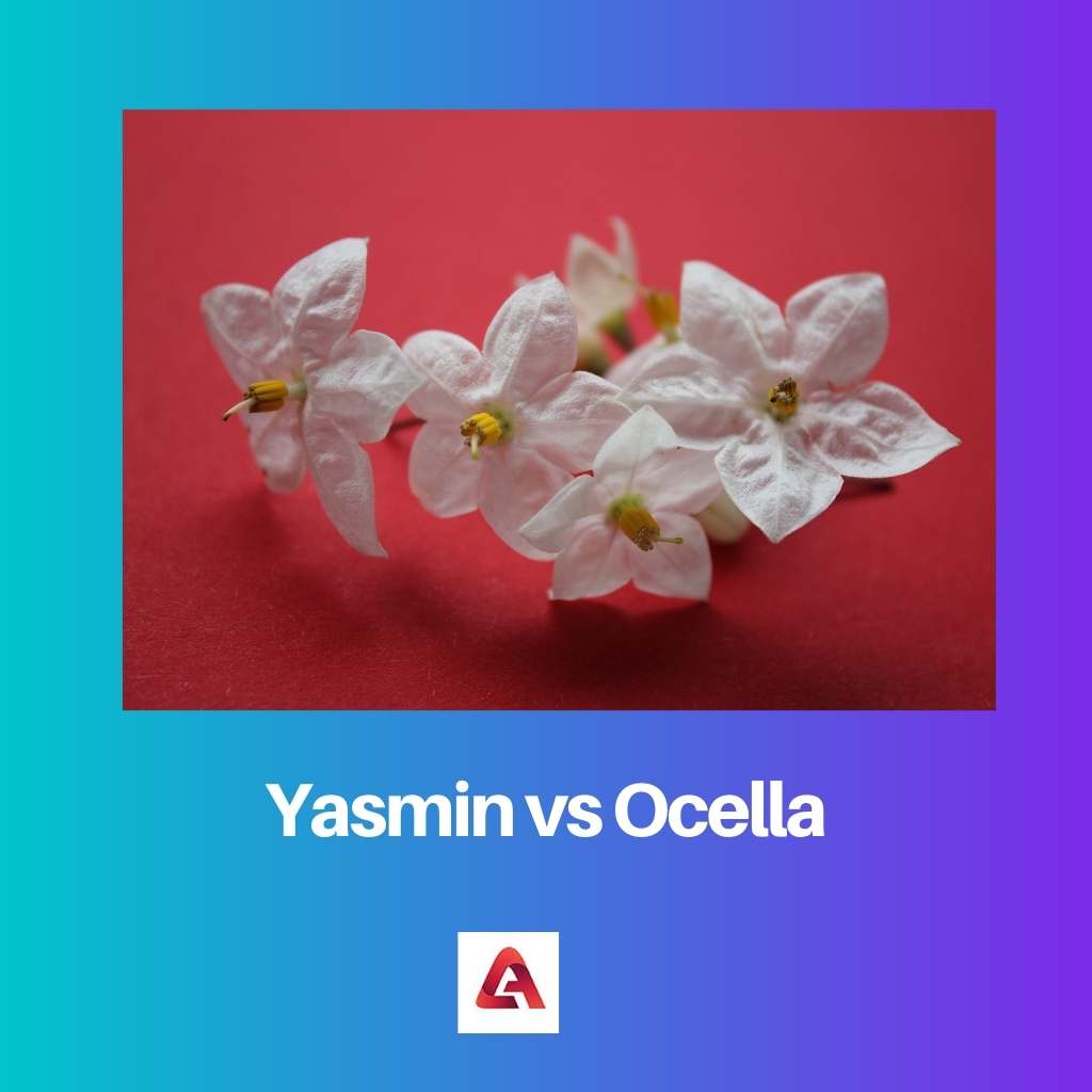 Yasmin vs Ocella