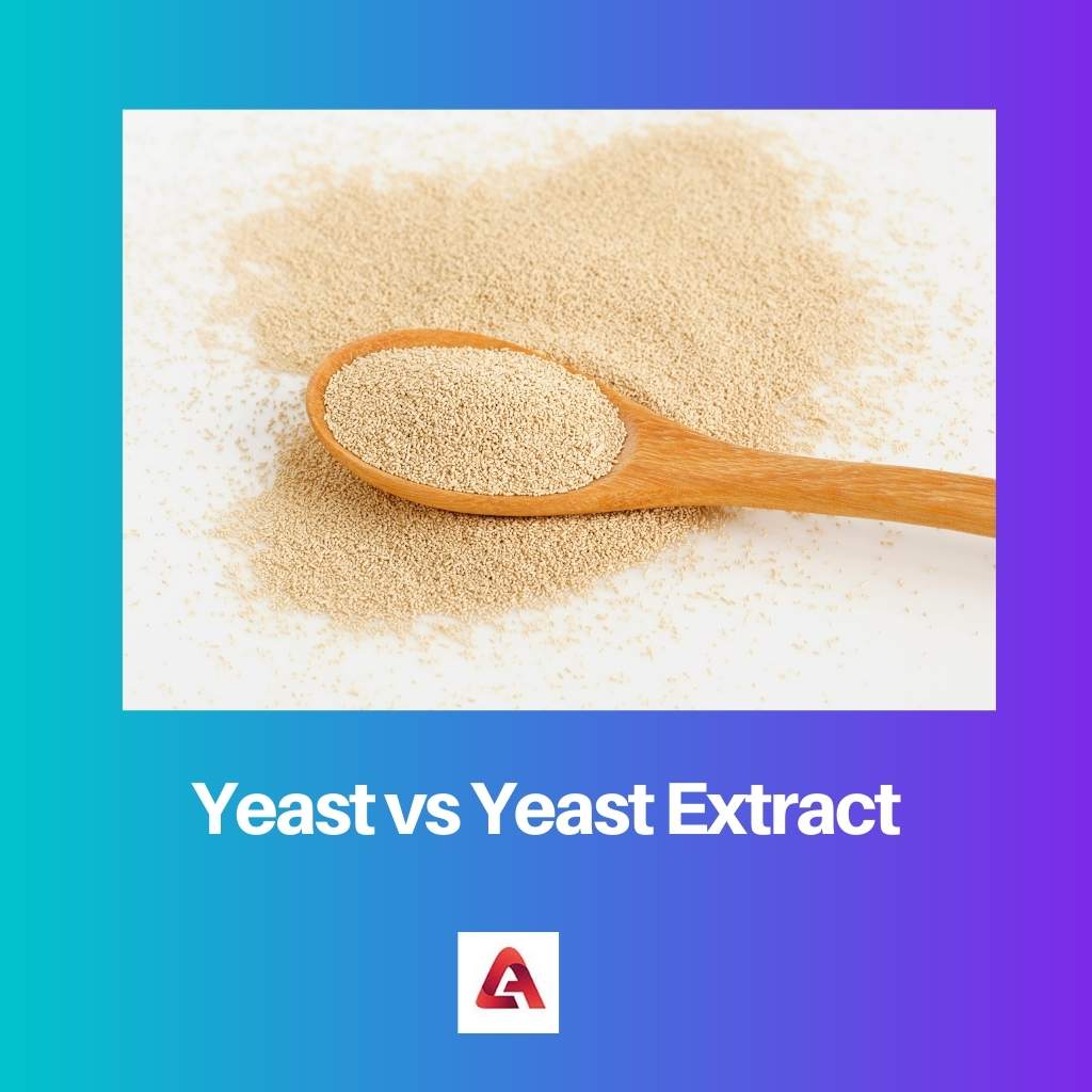 Yeast vs Yeast