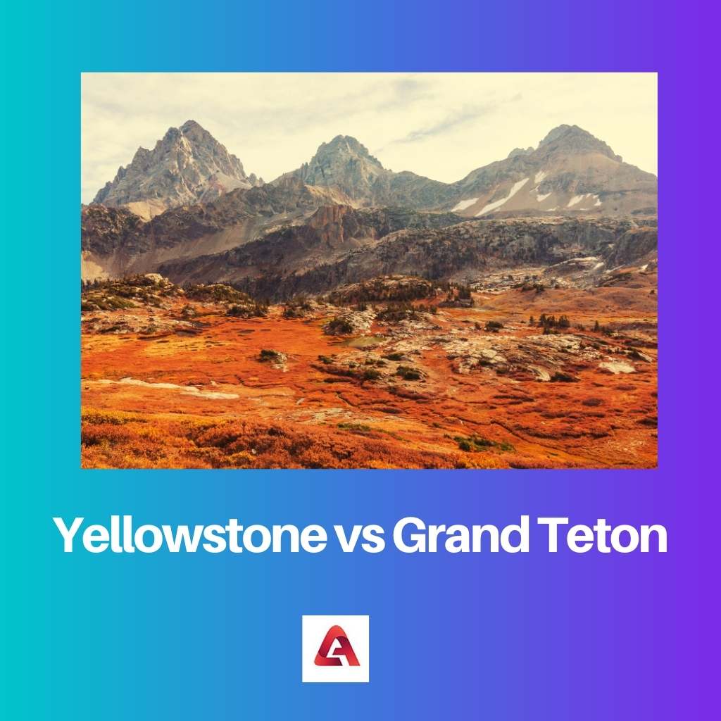 Yellowstone vs Grand Teton