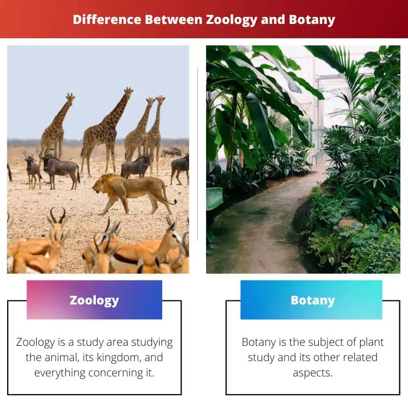 Zoology vs Botany – Difference Between Zoology and Botany