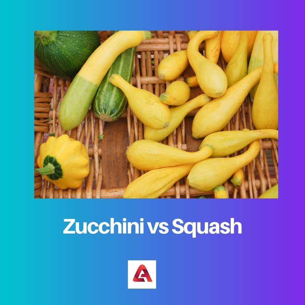 Zucchini vs Squash