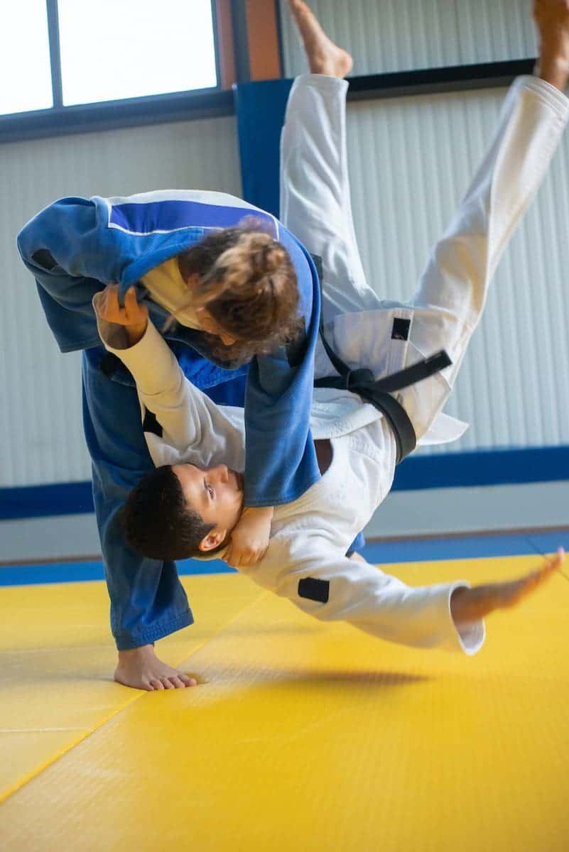 Aikido vs Hapkido: Difference and Comparison