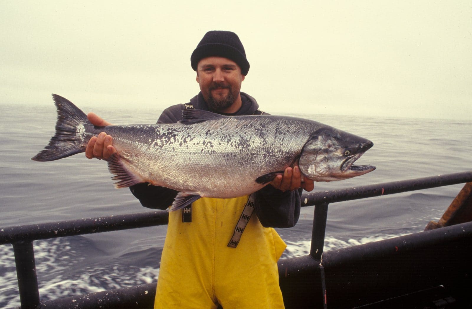 king salmon 3