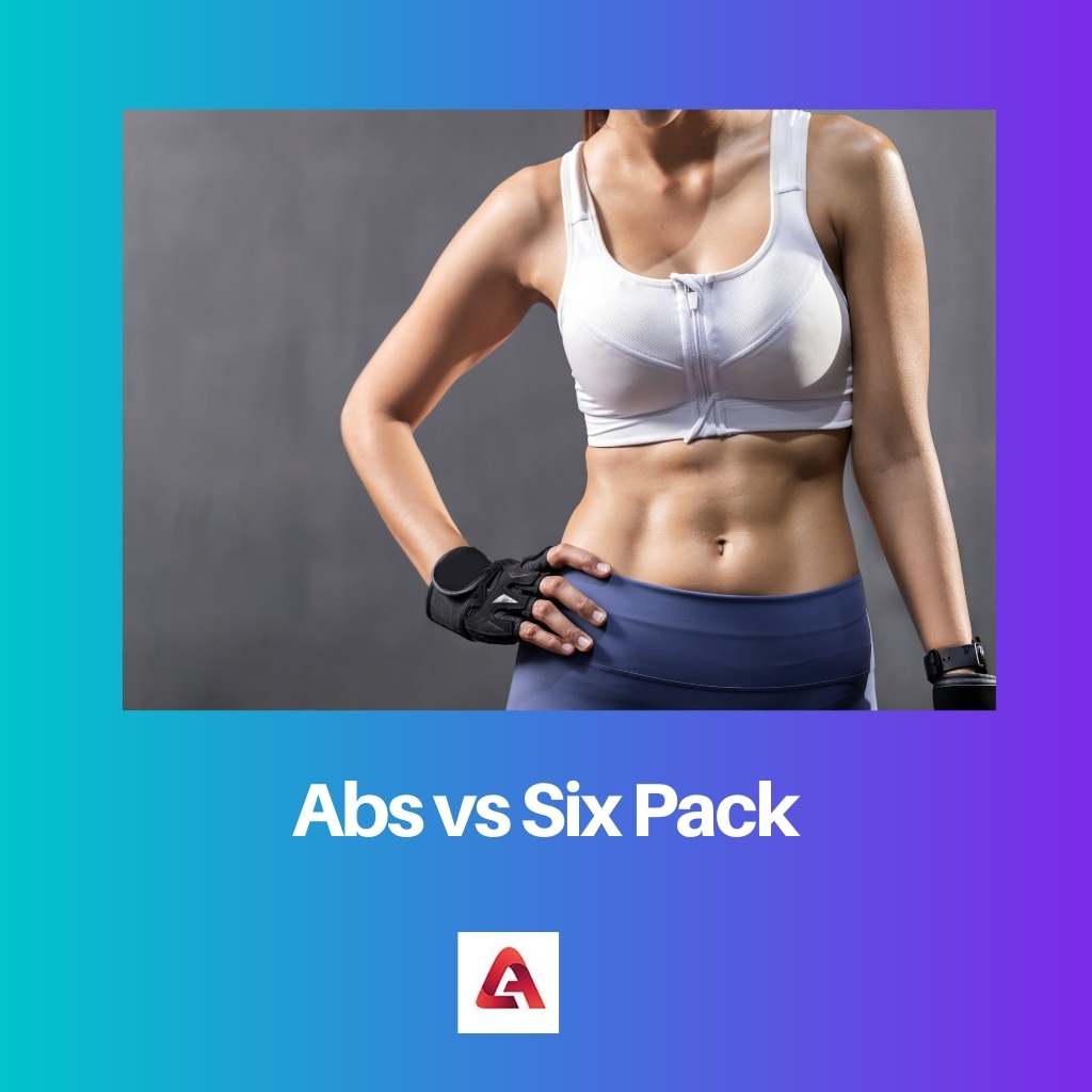 Abs vs Six Pack