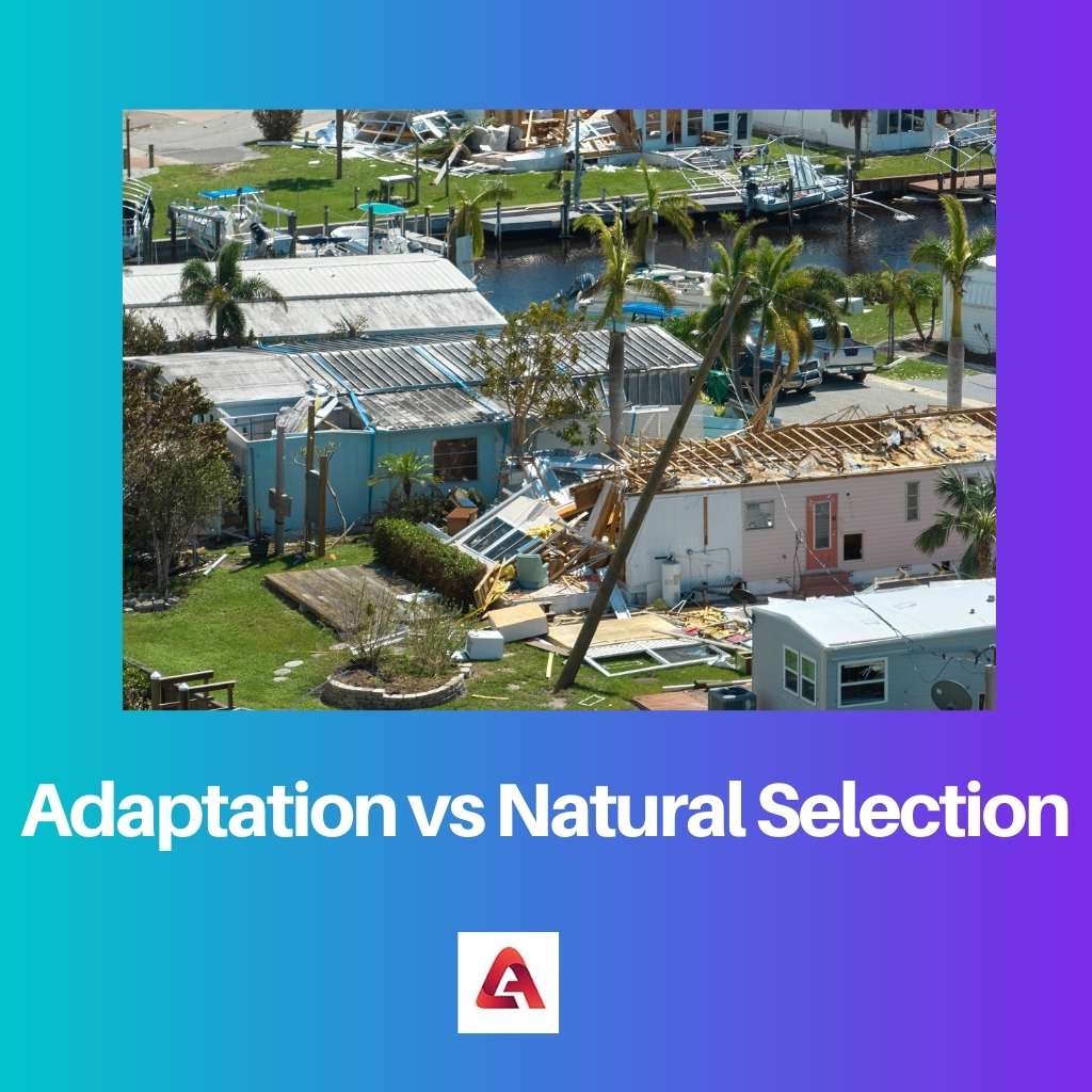 Adaptation vs Natural Selection