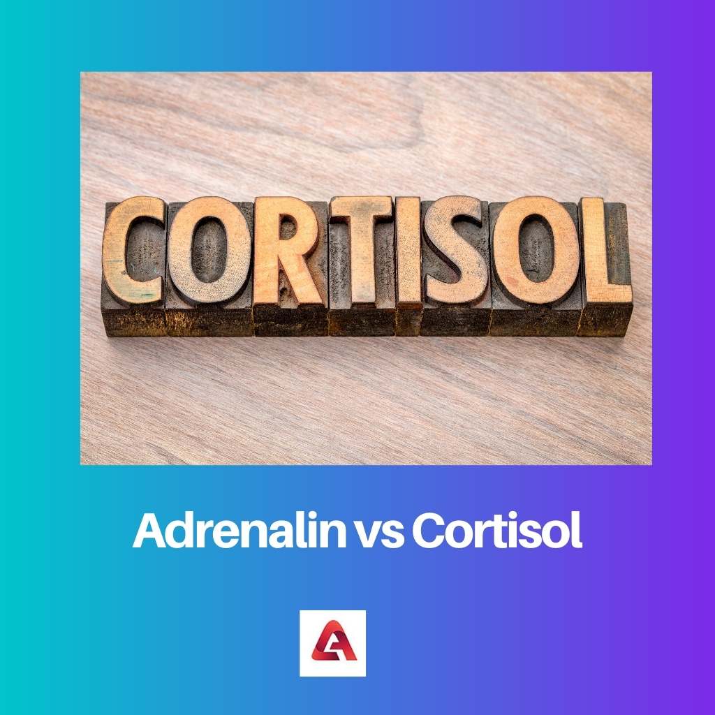 Adrenalin vs Cortisol