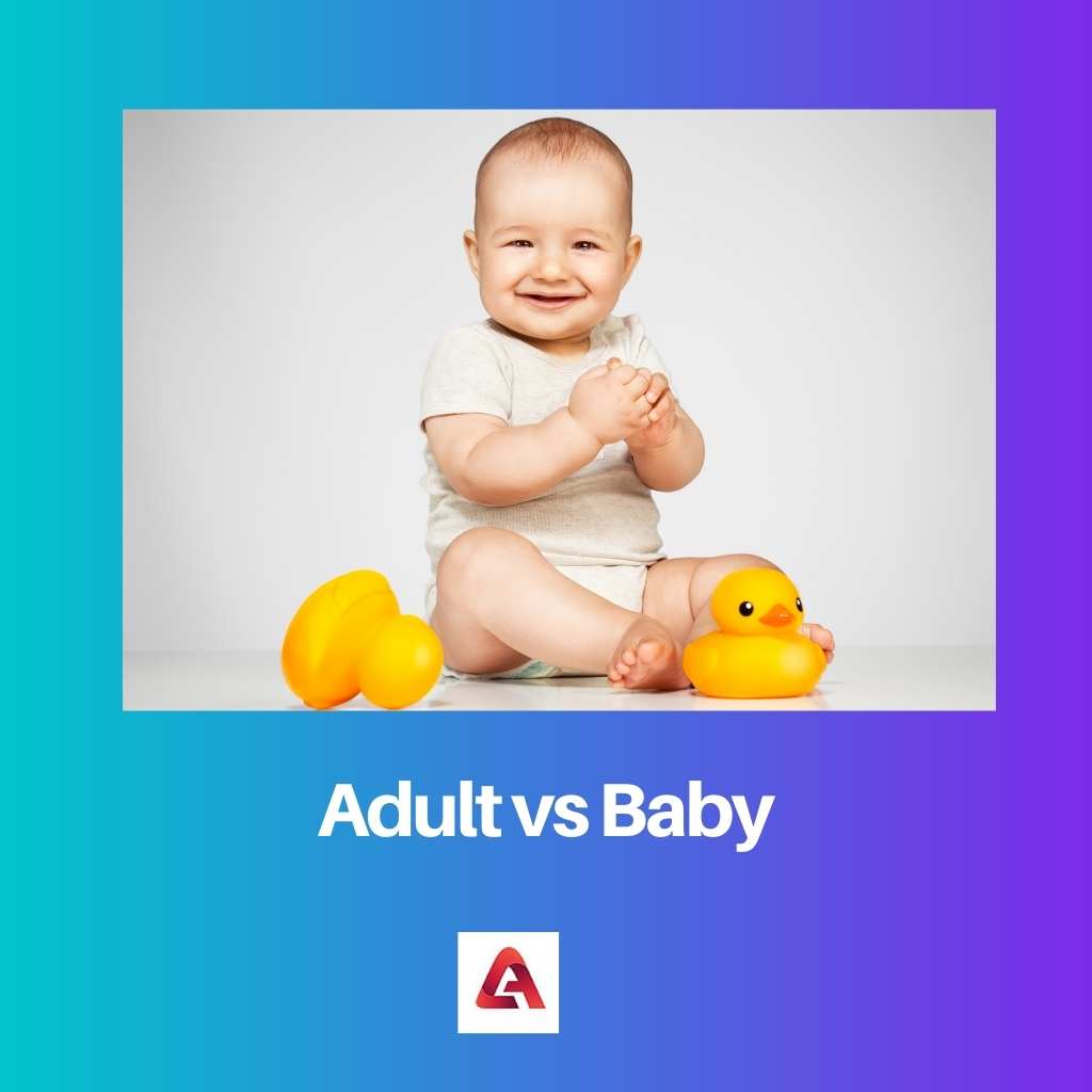 Adult vs Baby