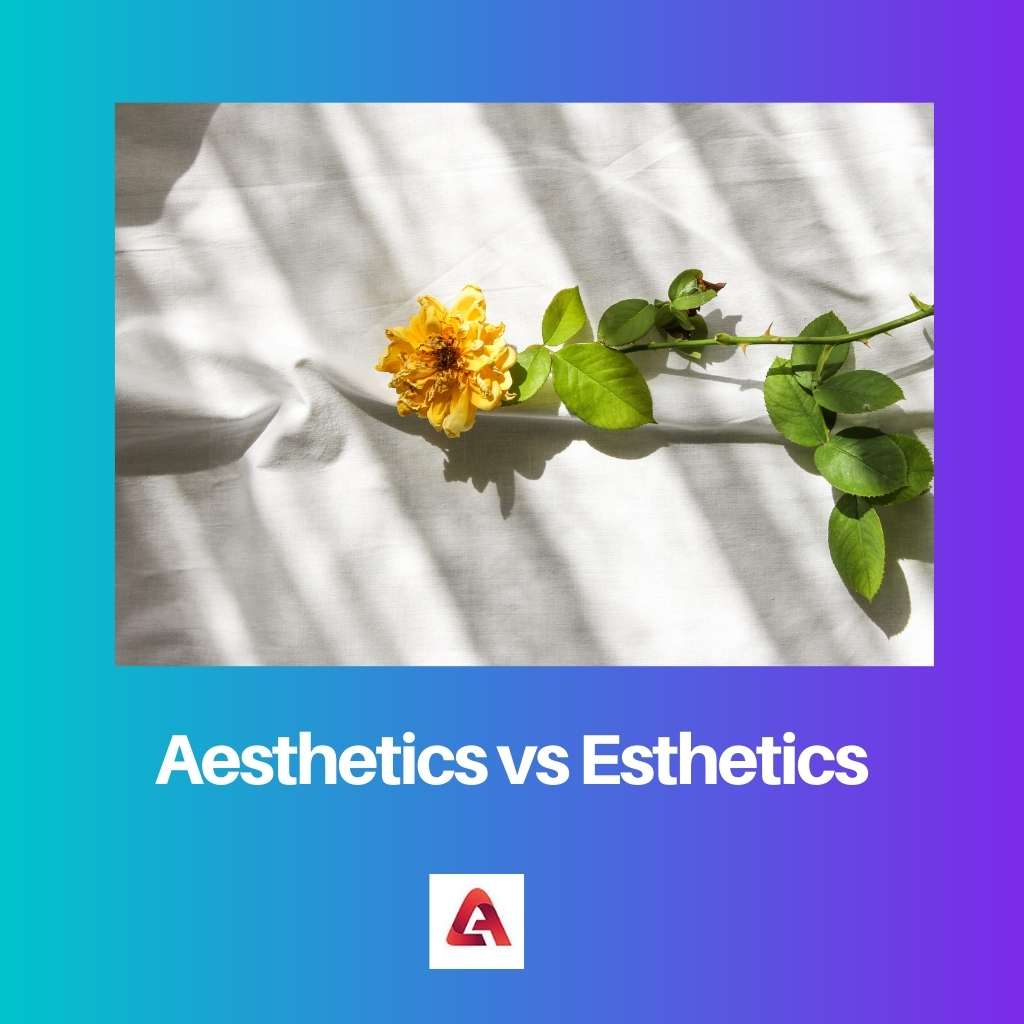Aesthetics vs Esthetics