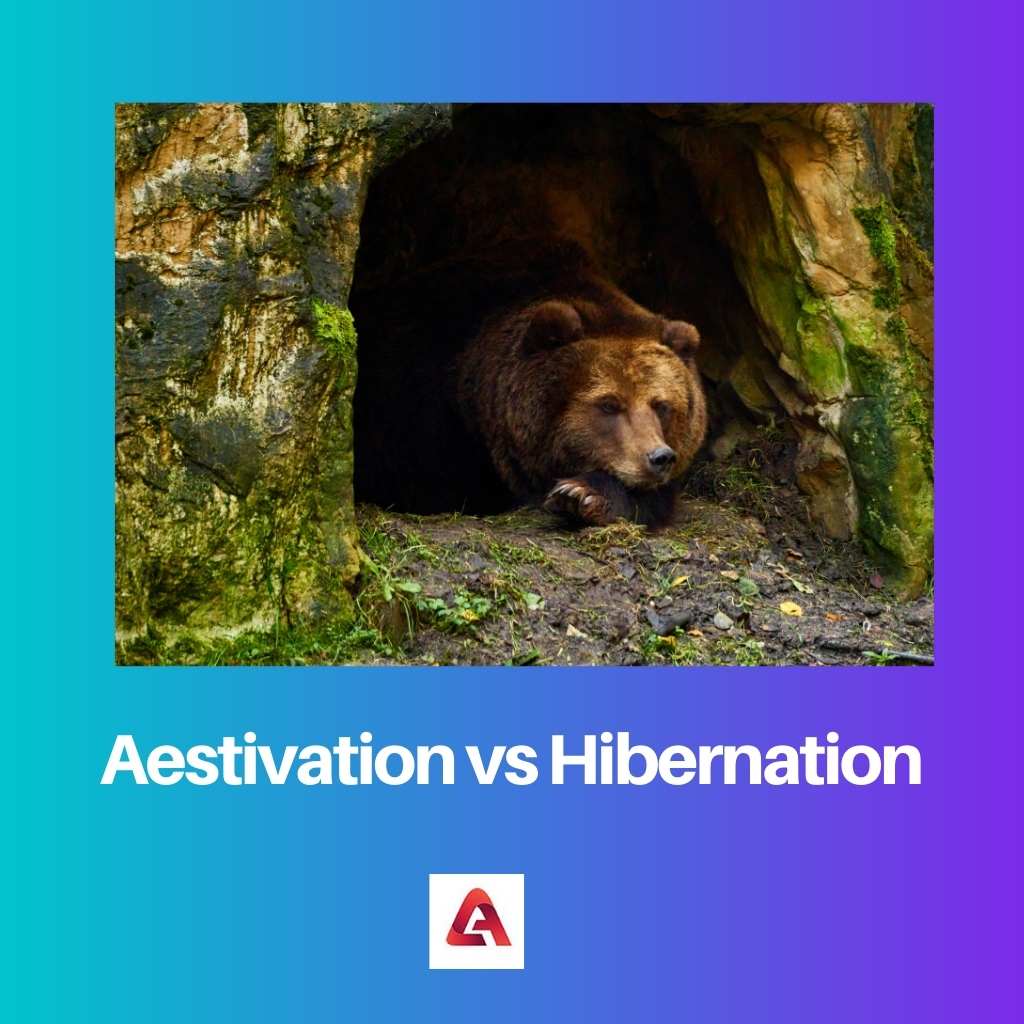 Aestivation vs Hibernation