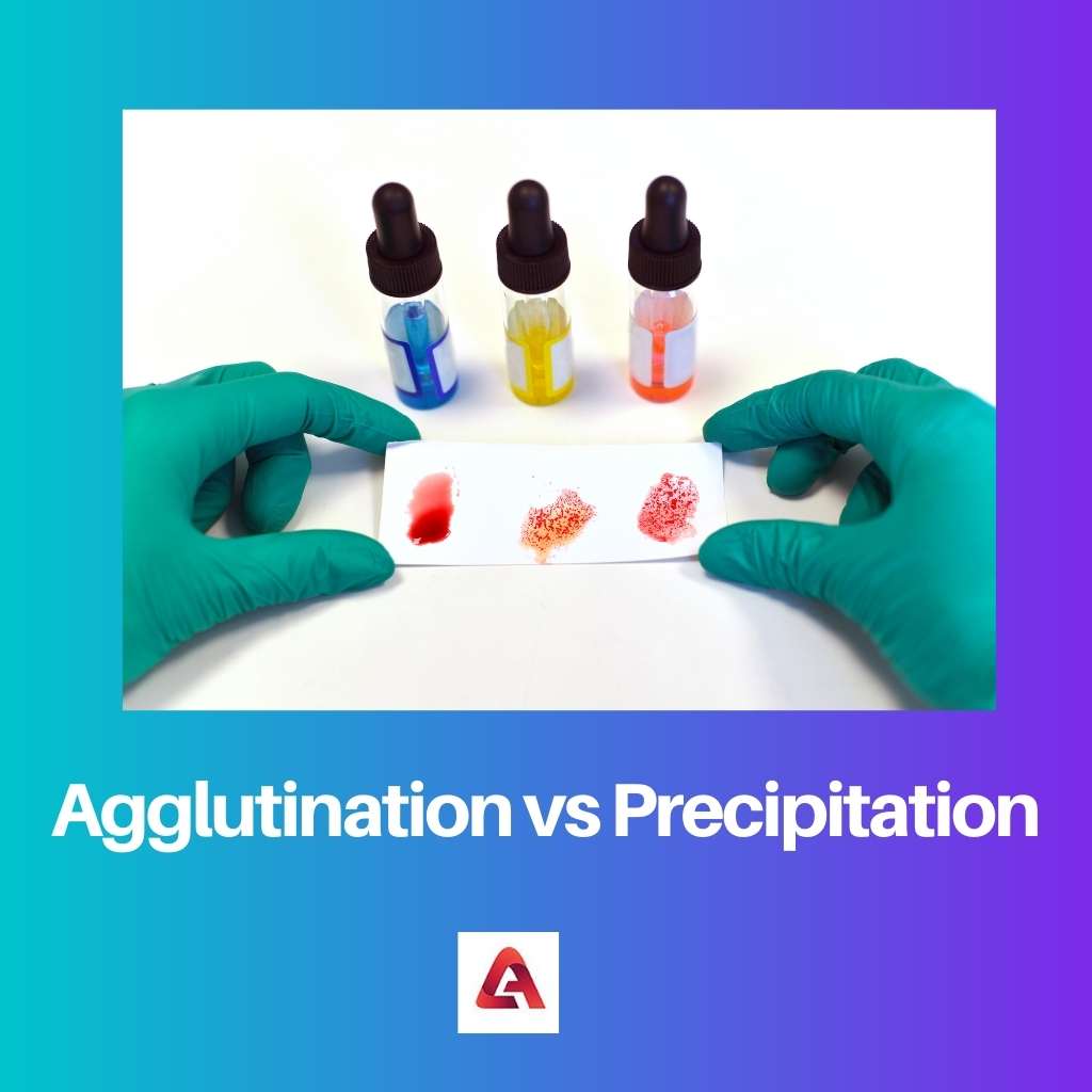 Agglutination vs Precipitation