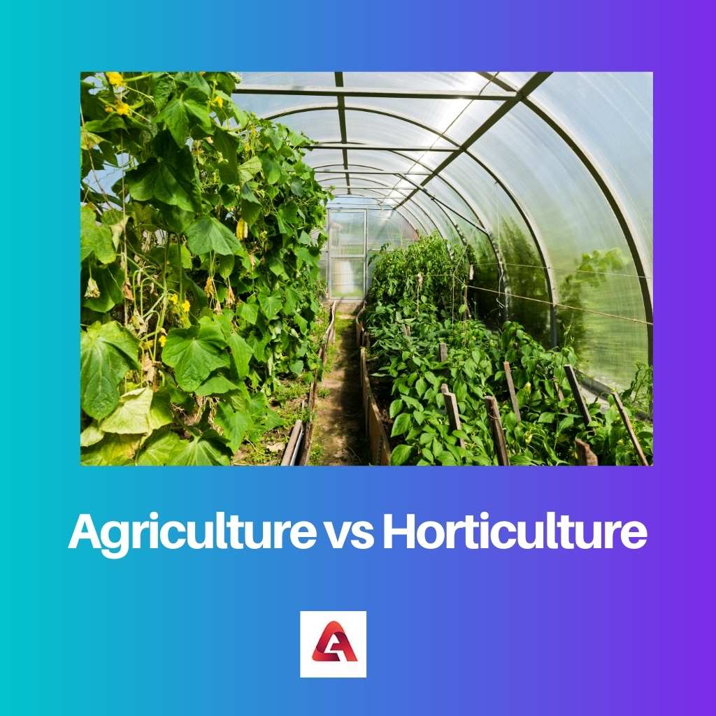 Agriculture vs Horticulture