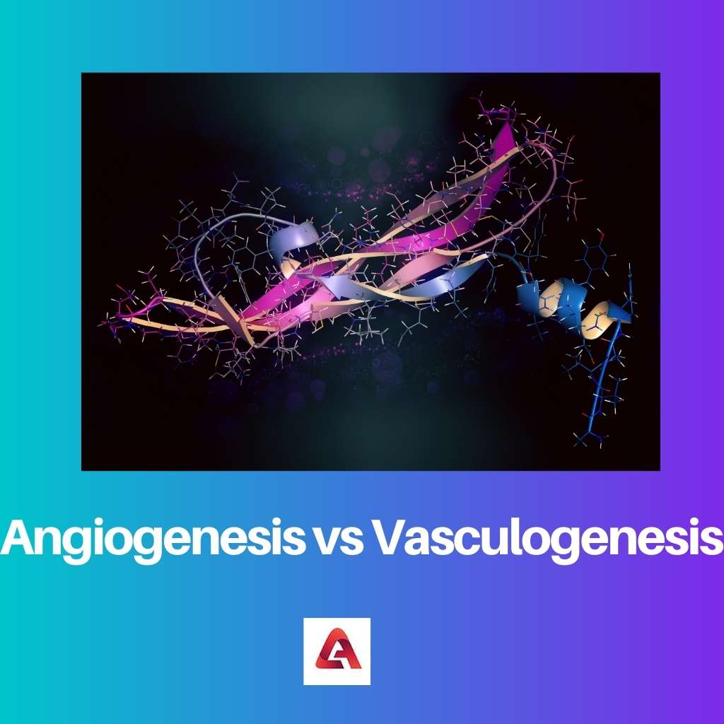 Angiogenesis vs Vasculogenesis