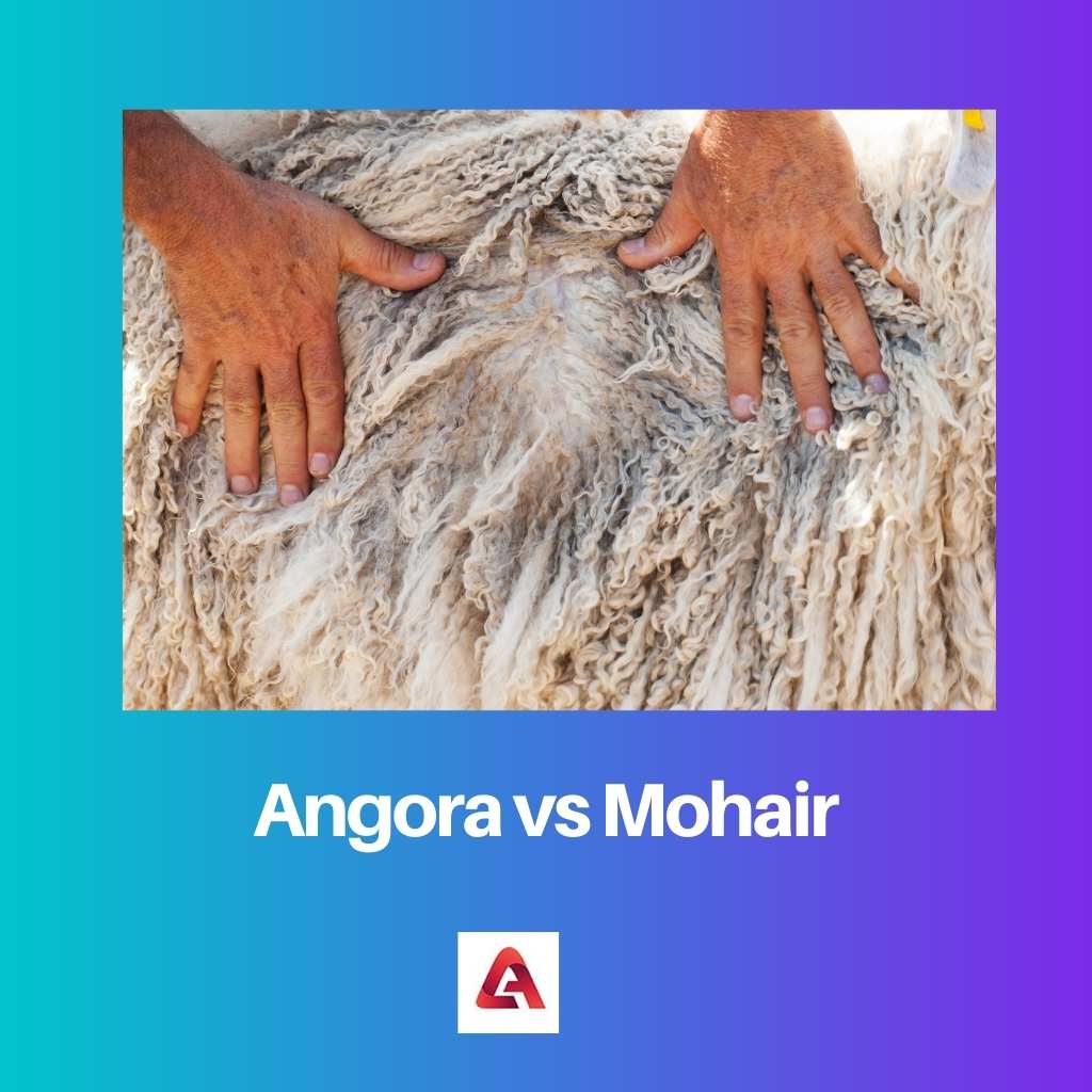 Angora vs Mohair