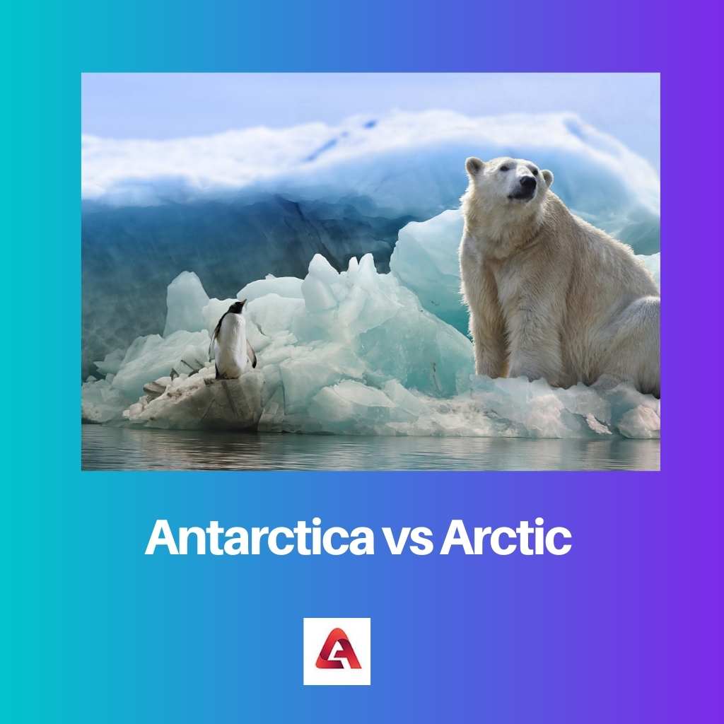 Antarctica vs Arctic