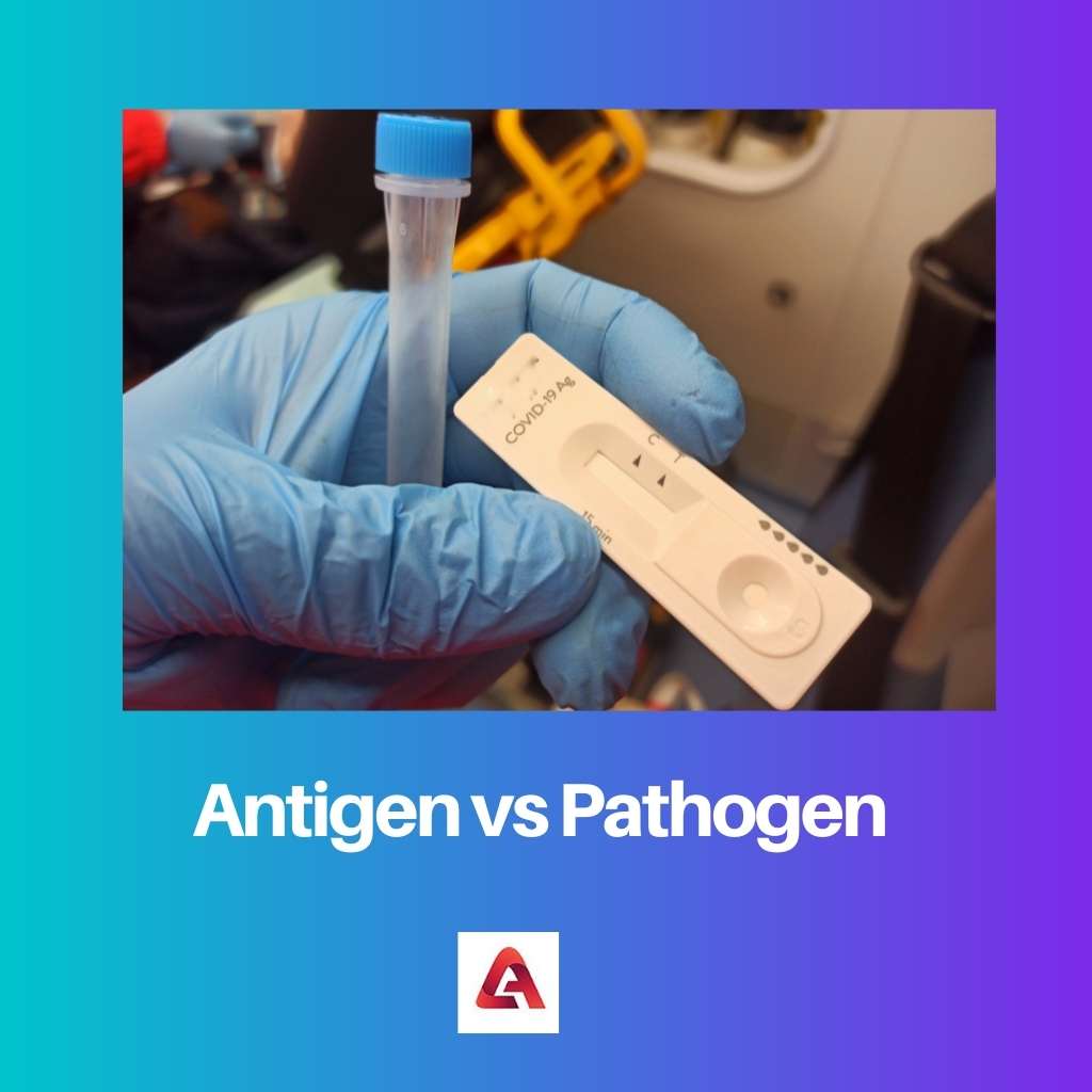 Antigen vs Pathogen