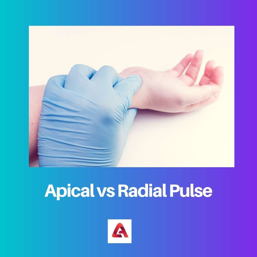 Apical vs Radial Pulse