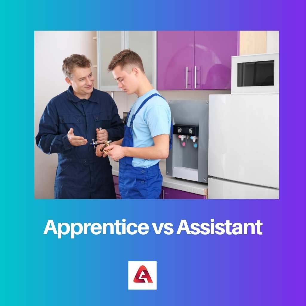 Apprentice vs Assistant