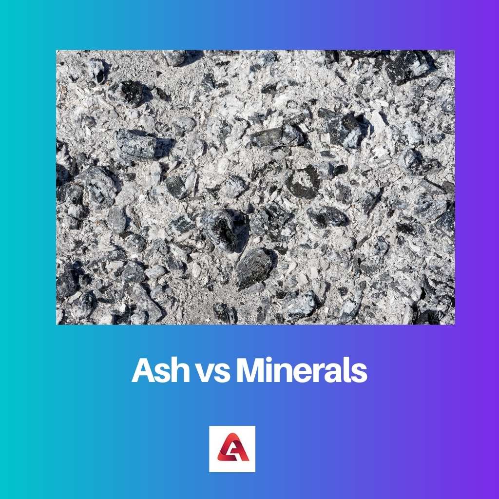 Ash vs Minerals