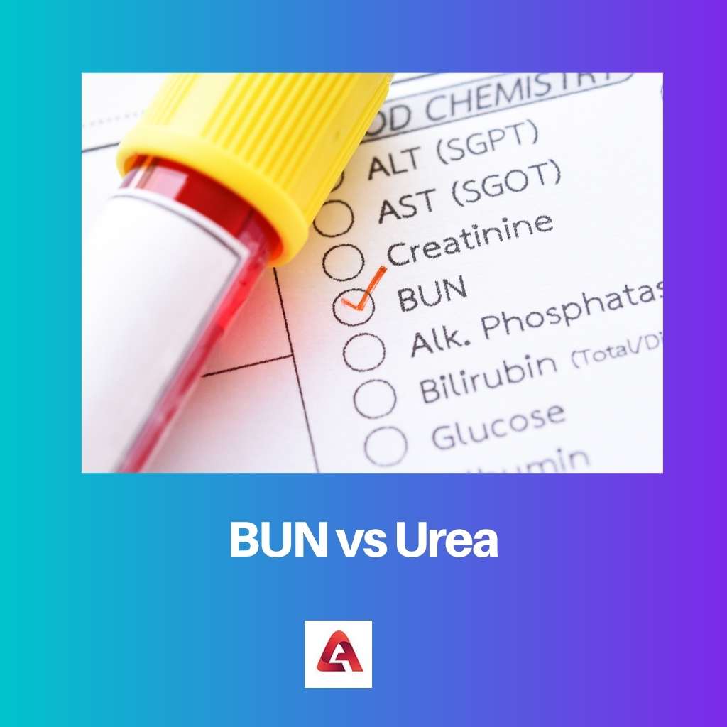 BUN vs Urea