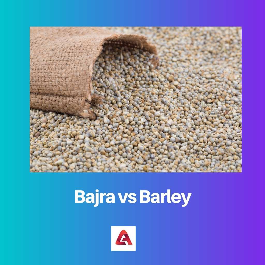 Bajra vs Barley