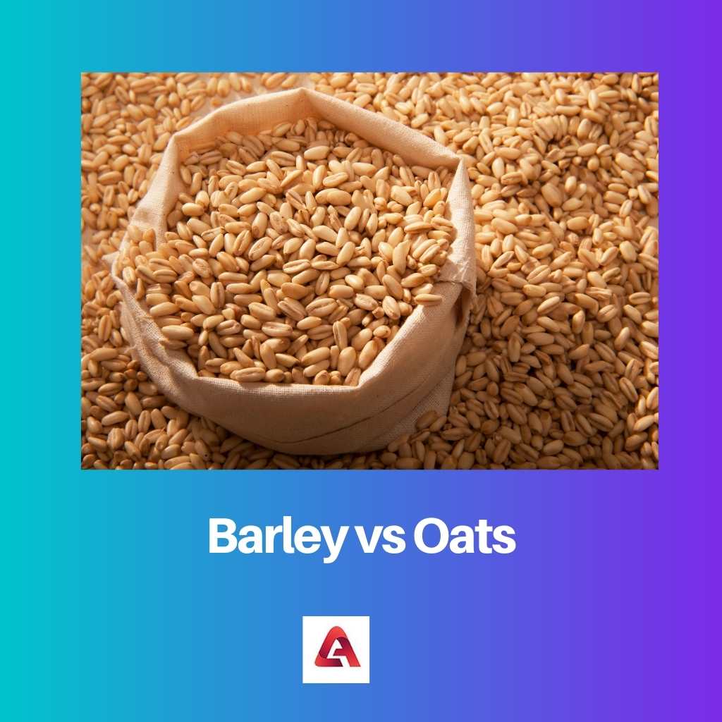 Barley vs Oats