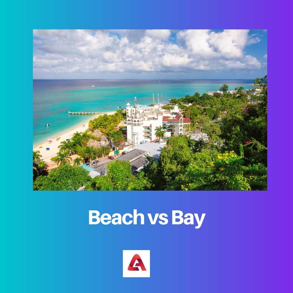 Beach vs Bay