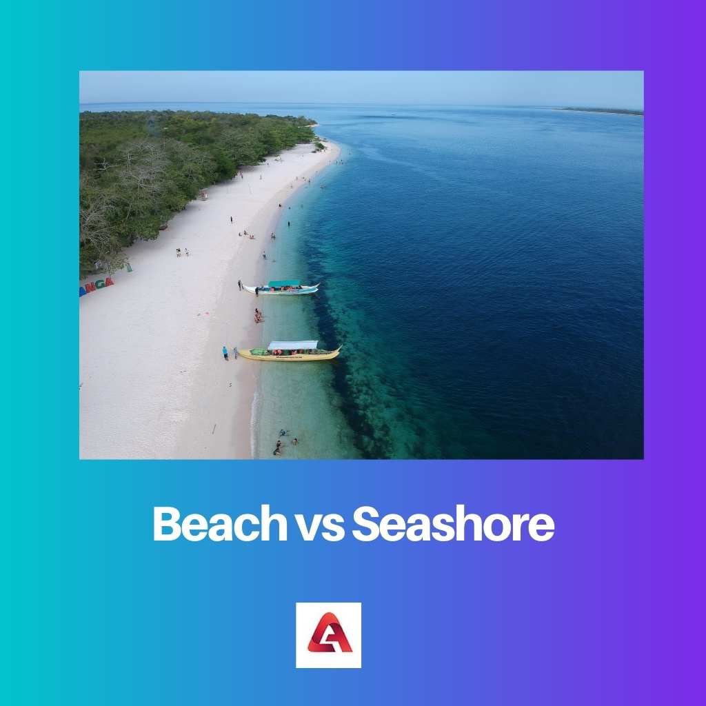 Beach vs Seashore