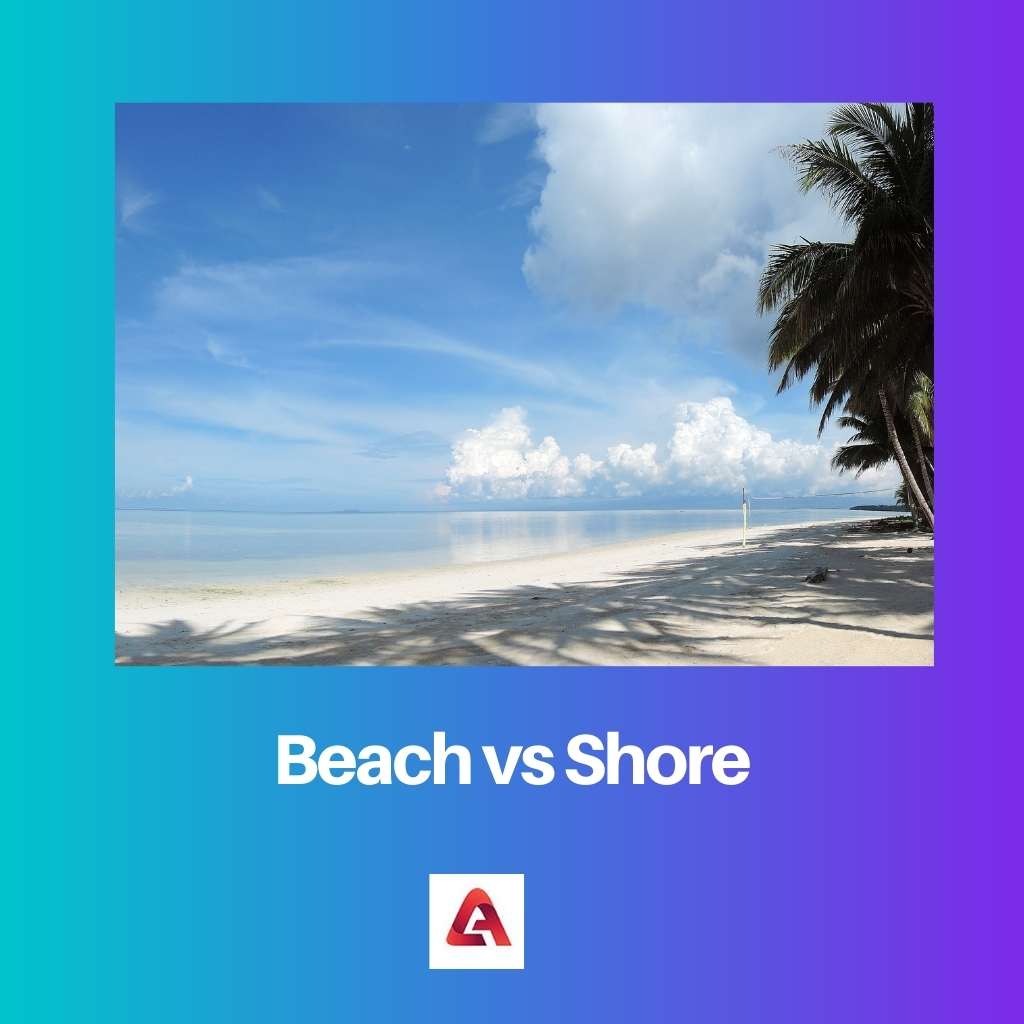 Beach vs Shore