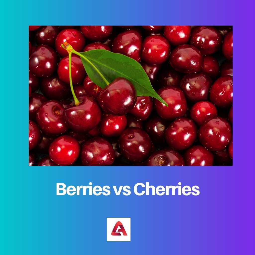 Berries vs Cherries