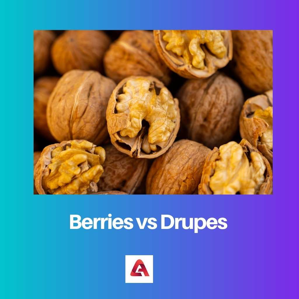 Berries vs Drupes