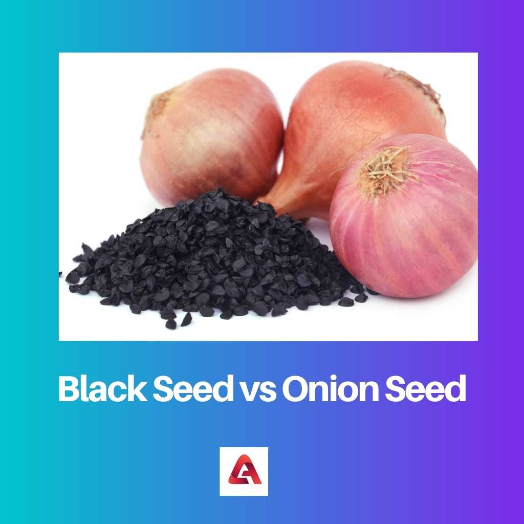 Black Seed vs Onion Seed