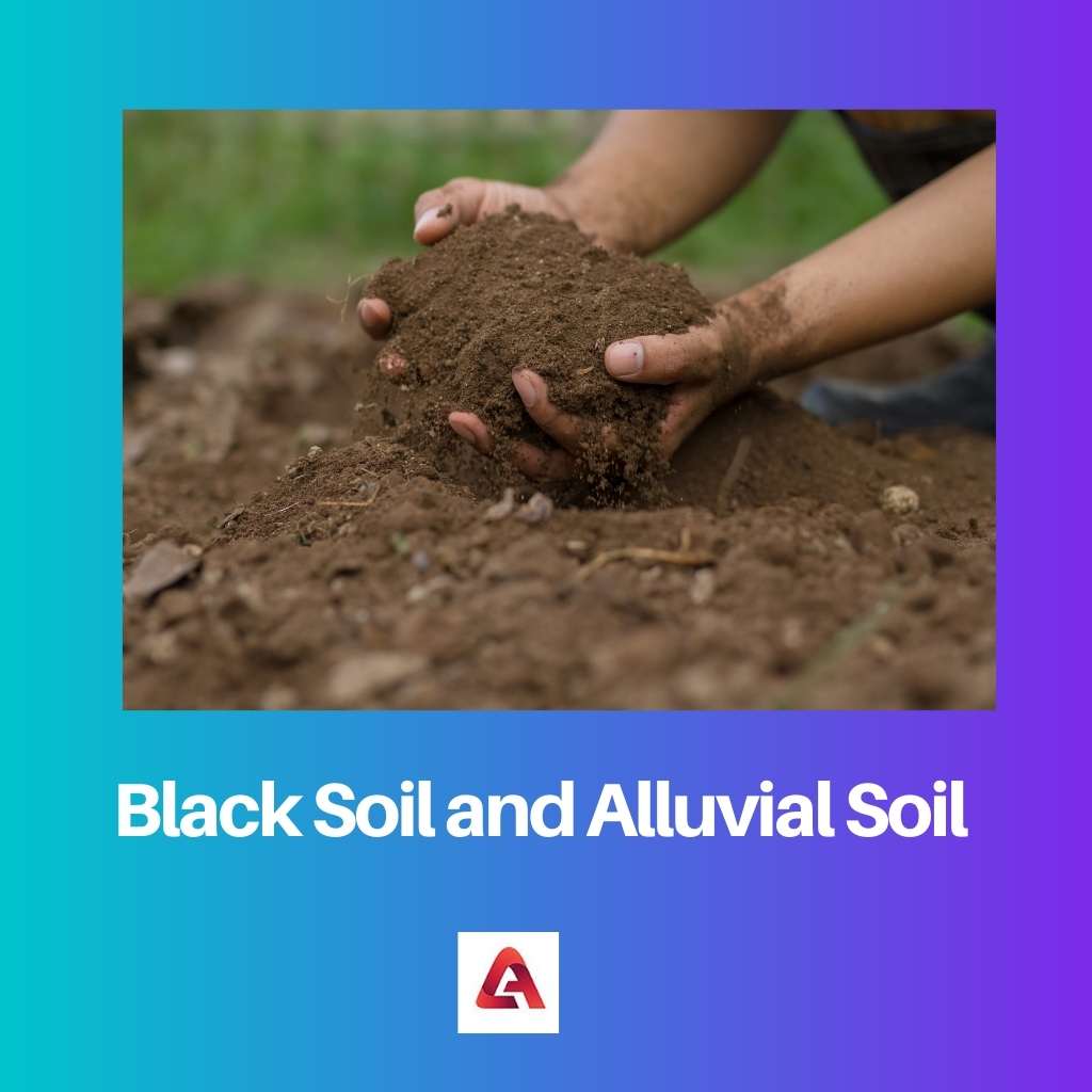 Black Soil and Alluvial Soil
