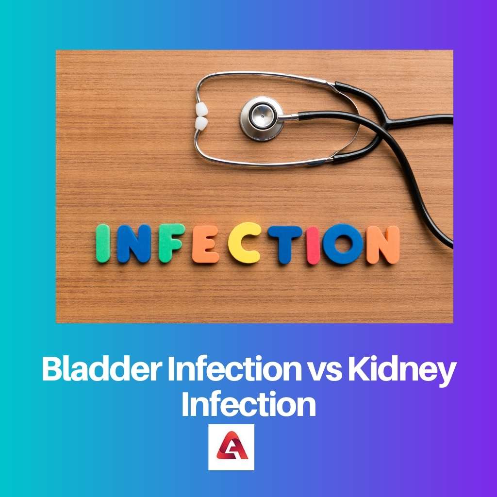 Bladder Infection vs Kidney Infection