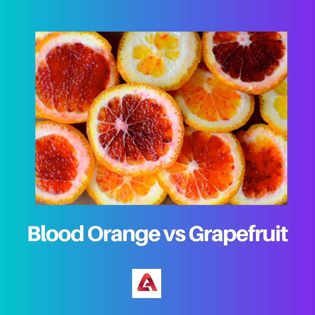 Blood Orange vs Grapefruit