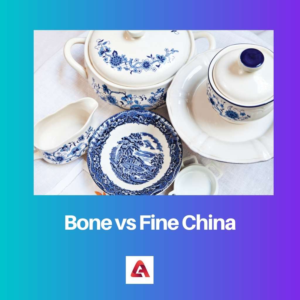Bone vs Fine China