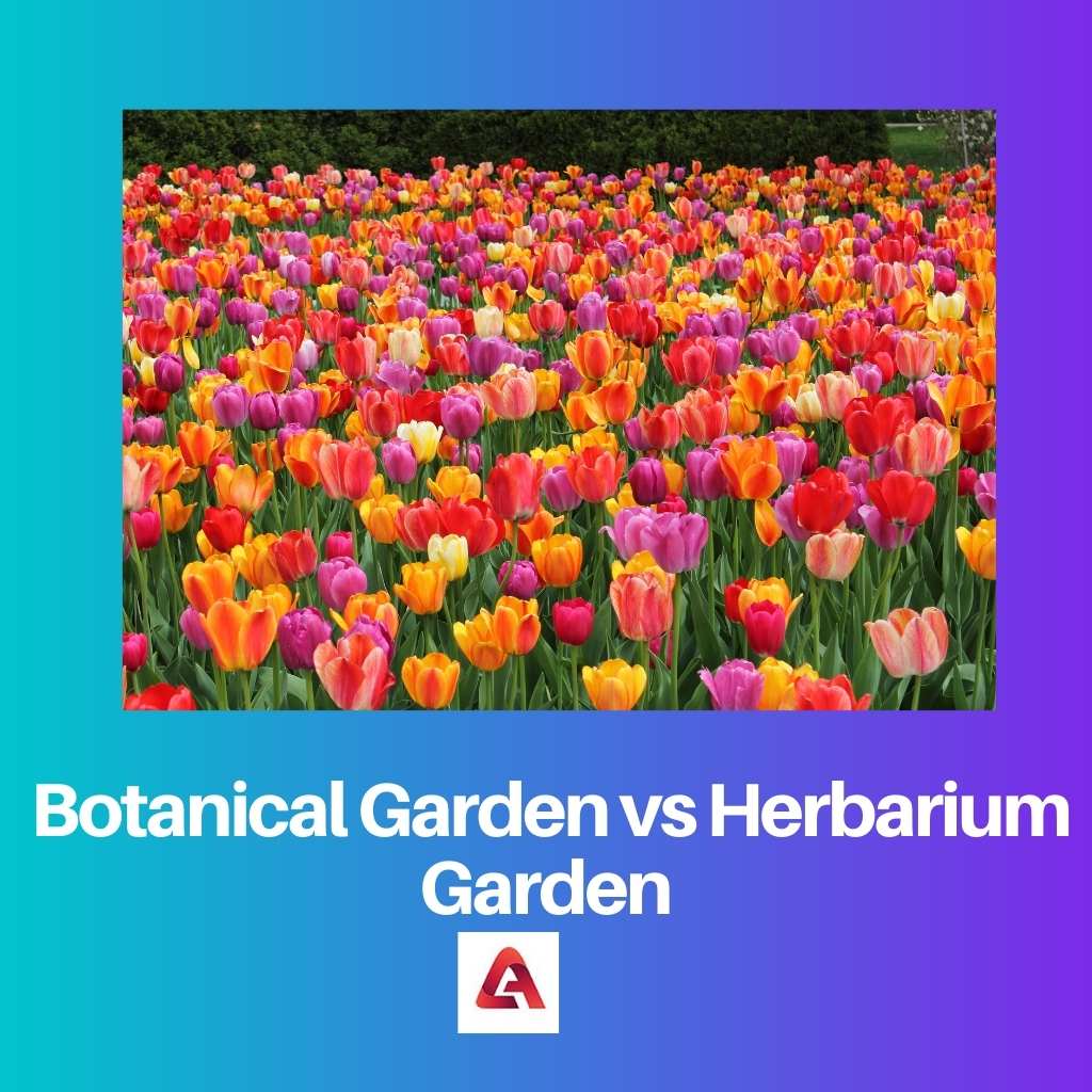 Botanical Garden vs Herbarium Garden