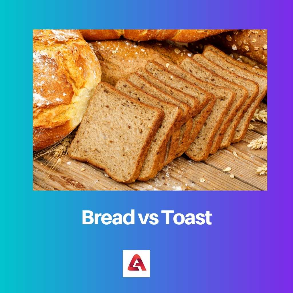 Bread vs Toast
