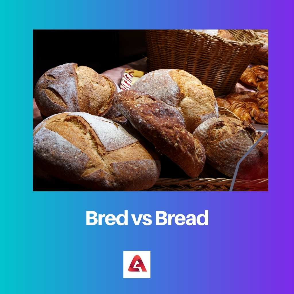 Bred vs Bread
