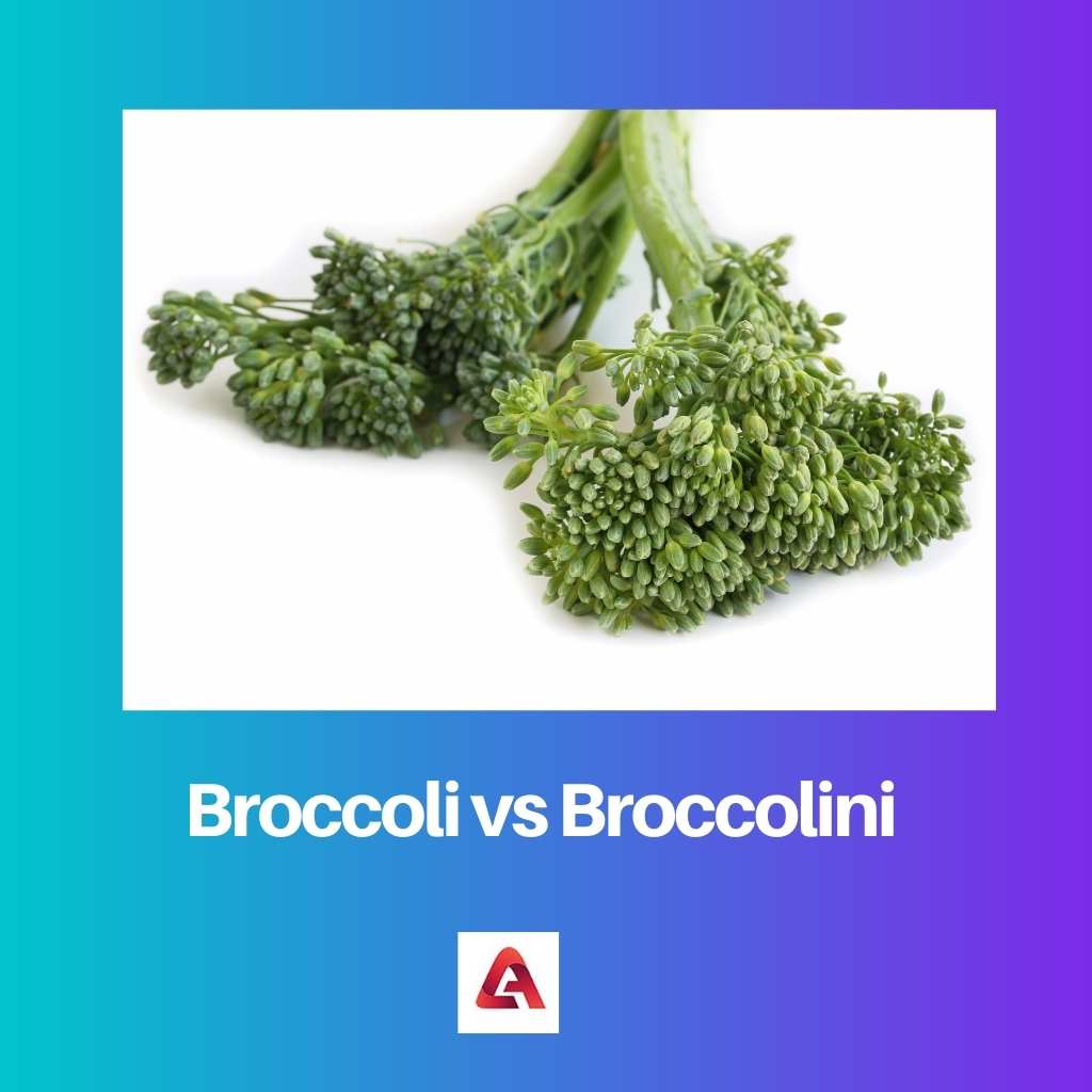 Broccoli vs Broccolini