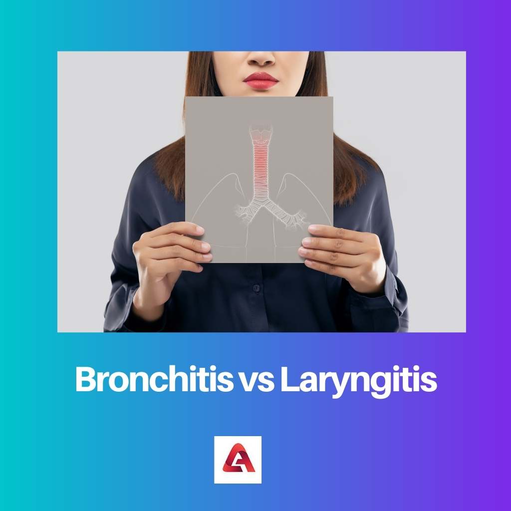 Bronchitis vs Laryngitis