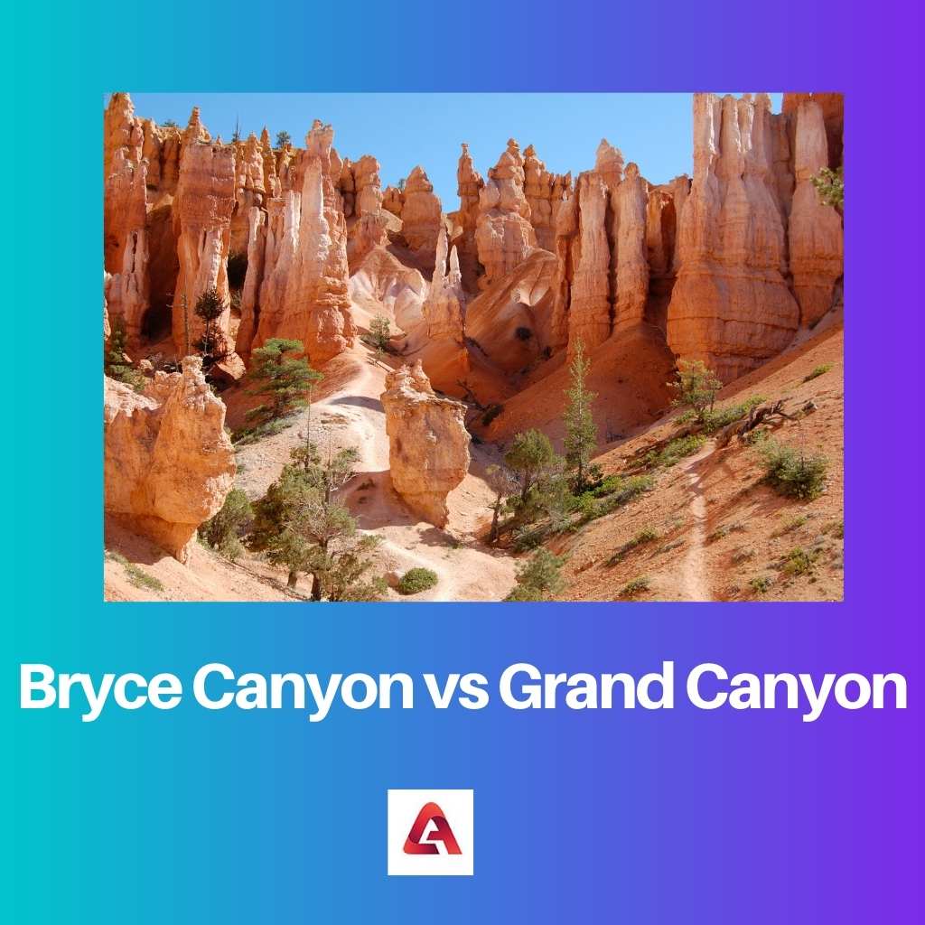 Bryce Canyon vs Grand Canyon