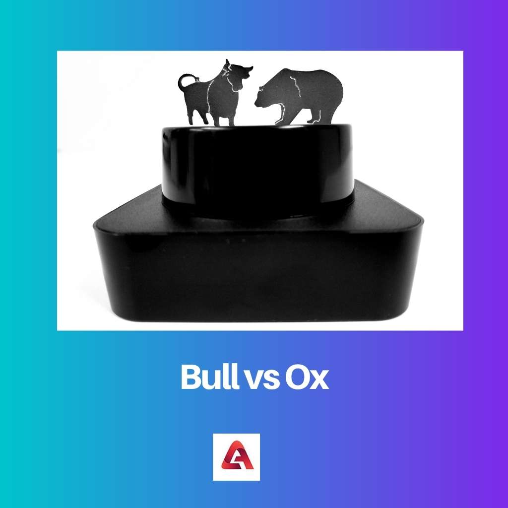 Bull vs