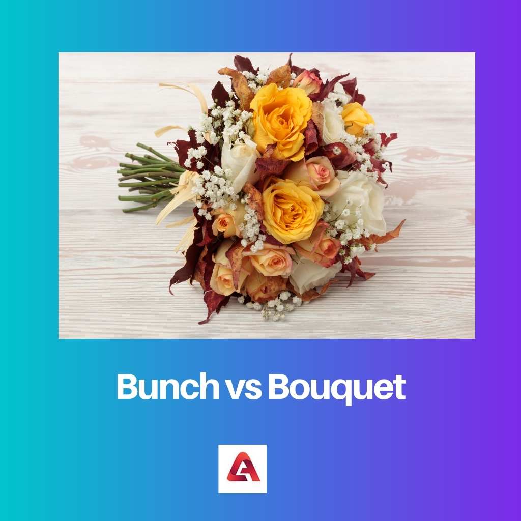 Bunch vs Bouquet