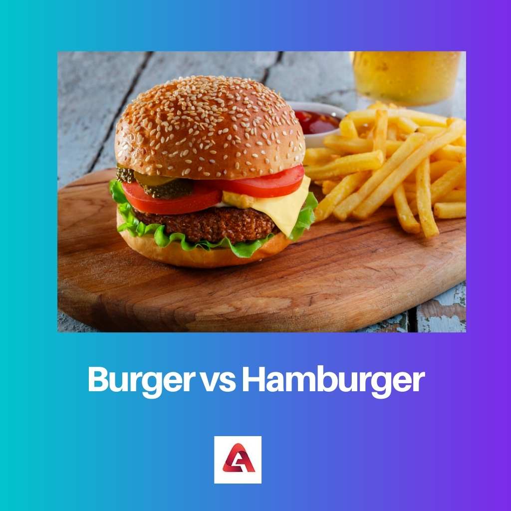 Burger vs Hamburger