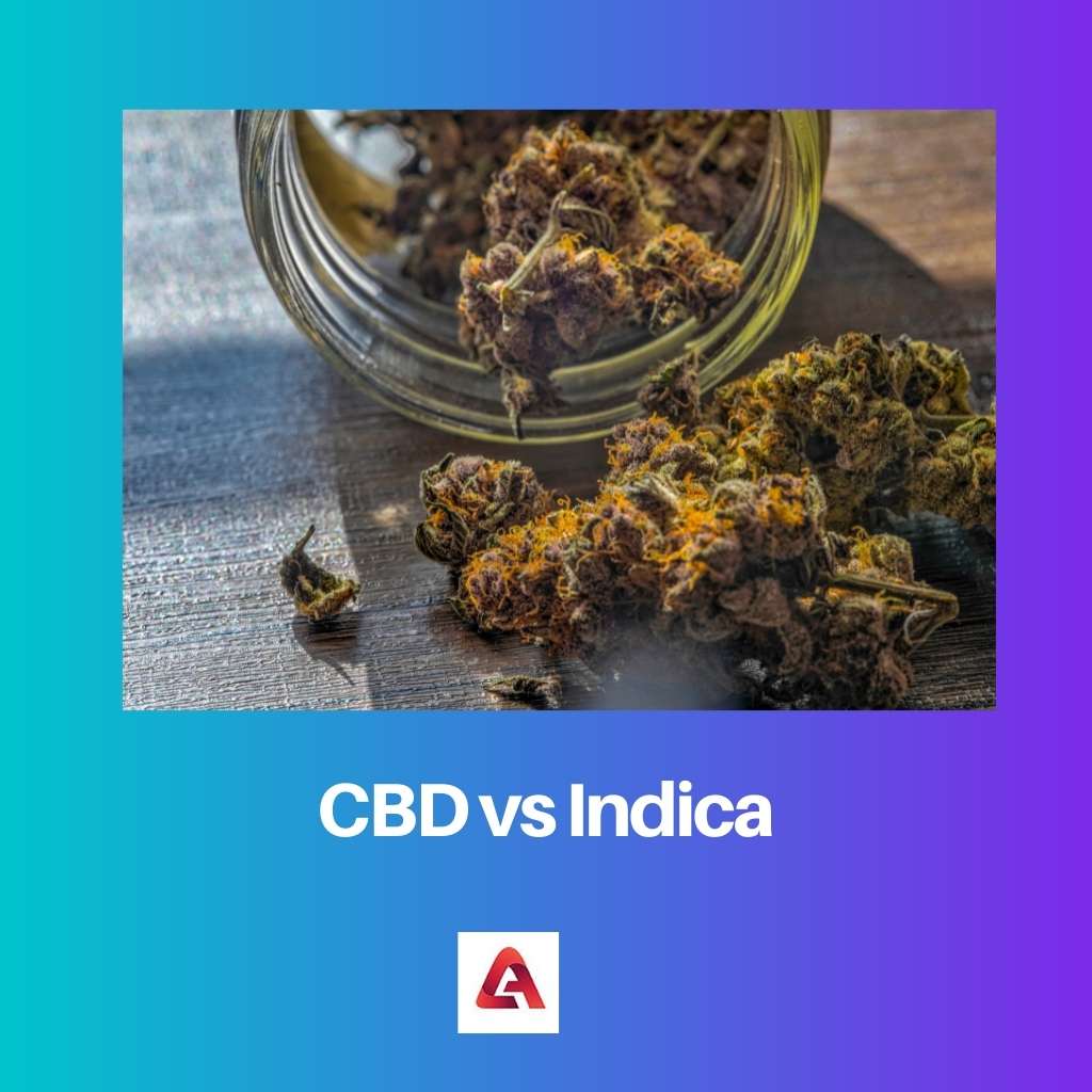 CBD vs Indica