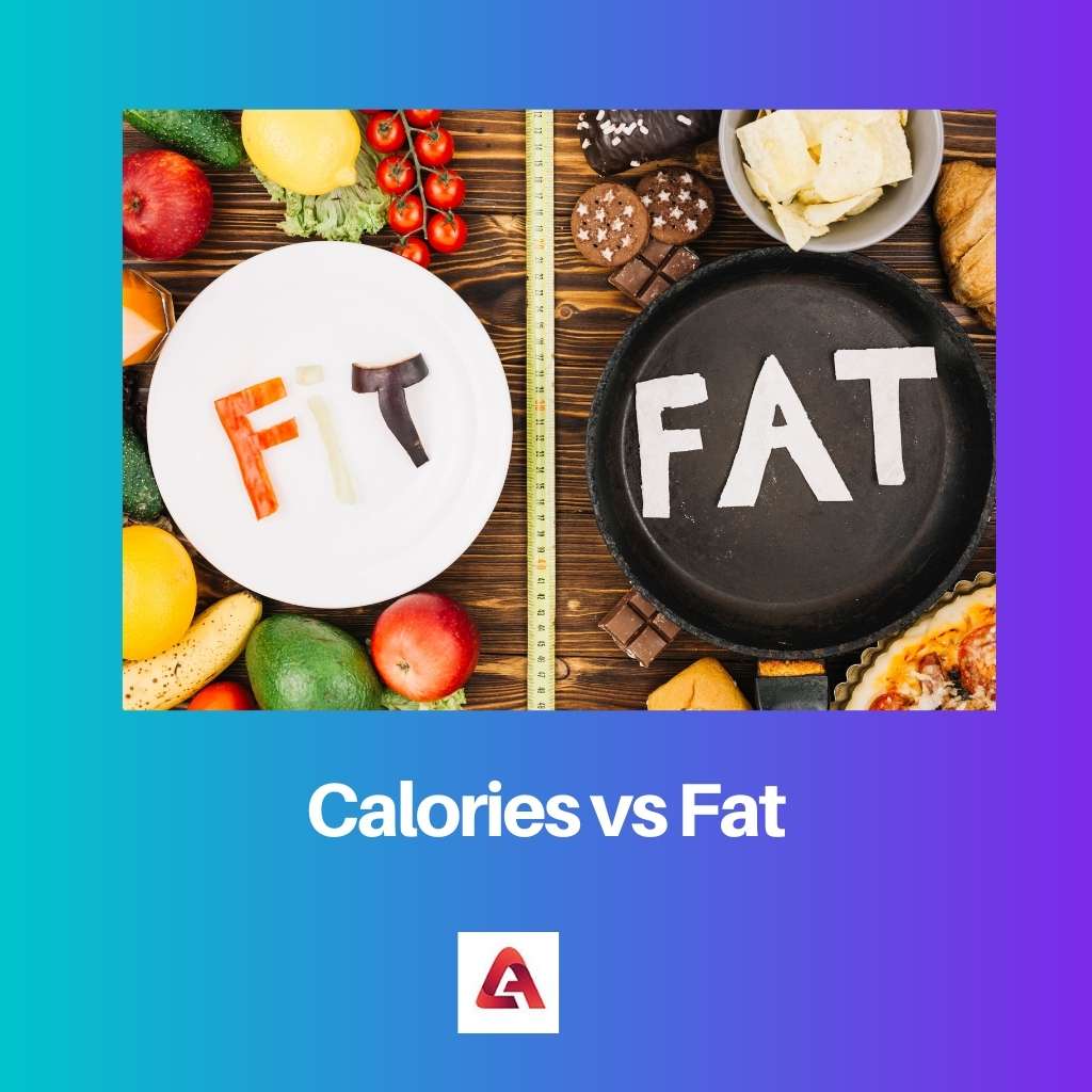 Calories vs Fat
