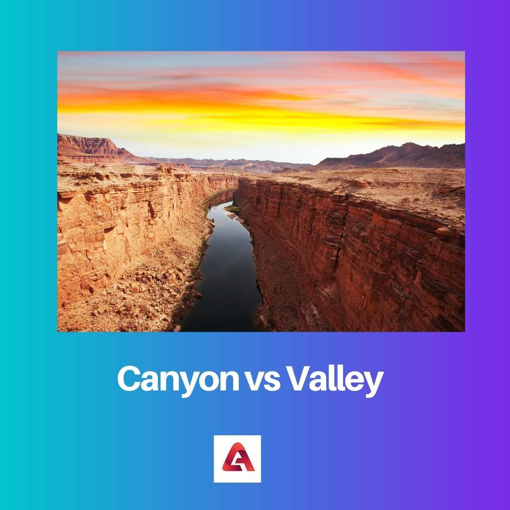 Canyon vs Valley