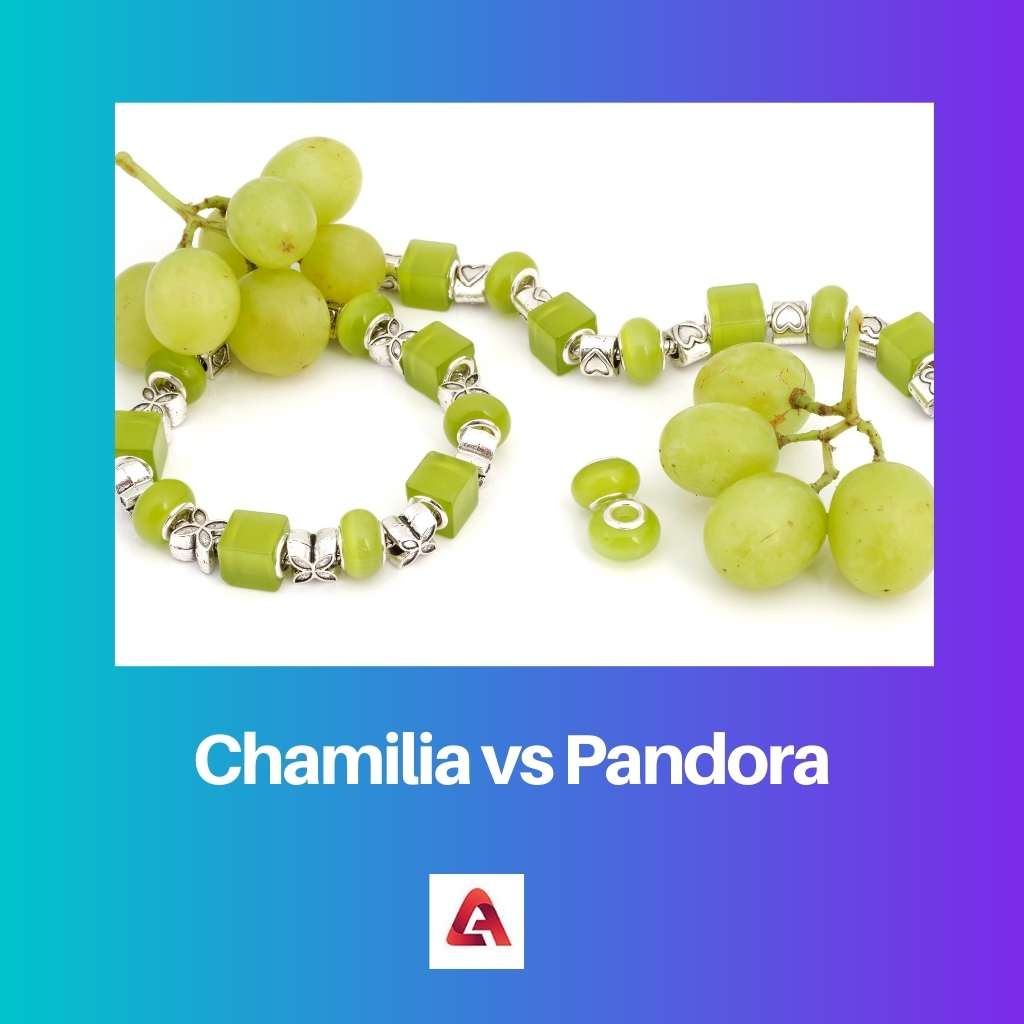 Chamilia vs Pandora 1